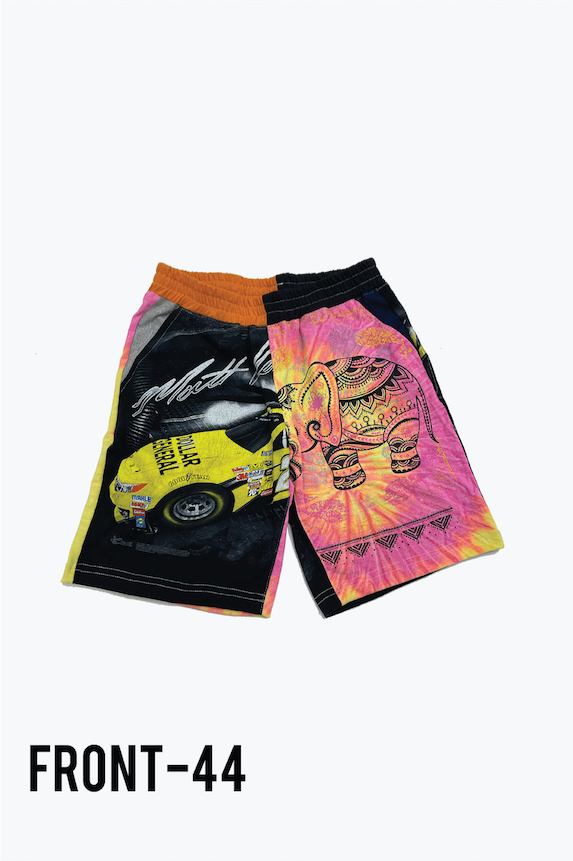 Saia da cyclone 2024 2019