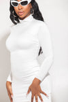 Turtle Neck Long Sleeve Dress